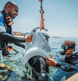 Sea trekking- A unique experience