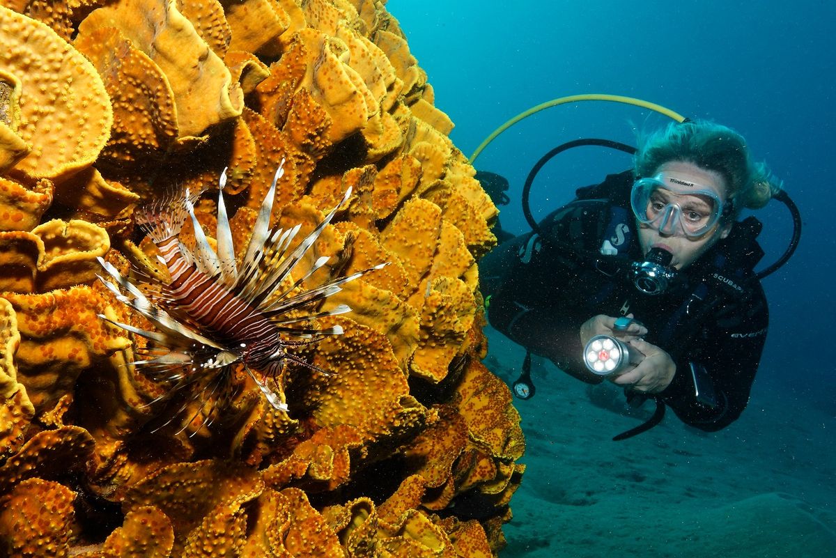 Snorkeling in Aqaba