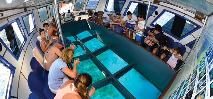 Aqaba’s Aquatic Safari