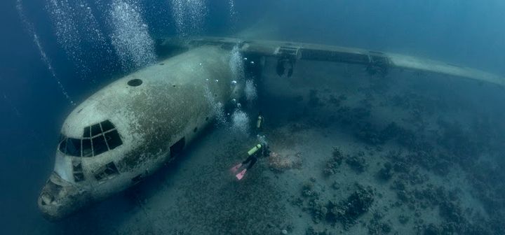 Aqaba’s Aquatic Wonderland: Dive Sites