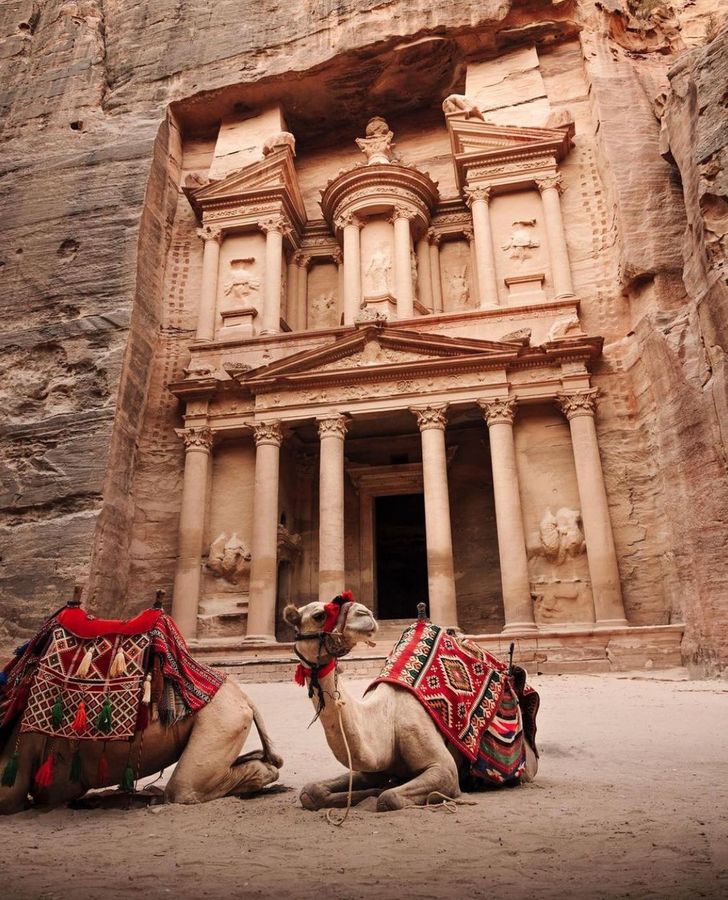 Camel at the Treasury, Petra