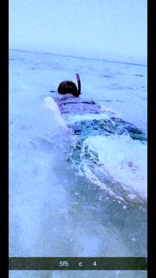 Snorkelling at South Beach